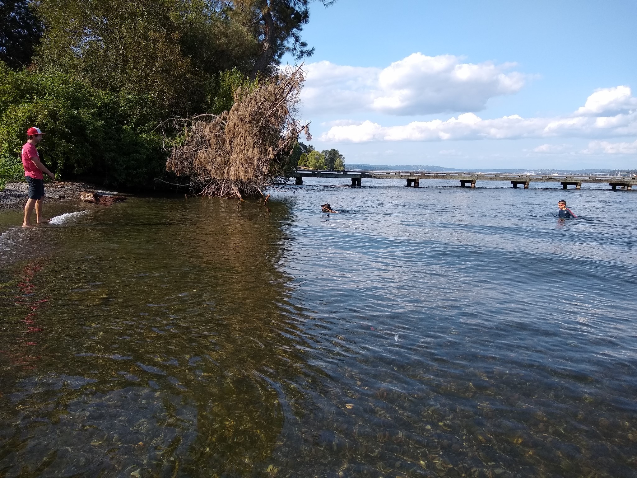 beach image